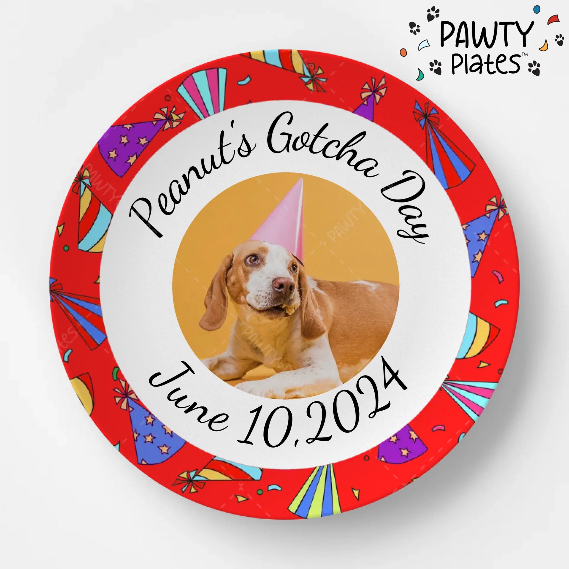 Pawty Plate™ Celebrate Photo - Pawty Plates