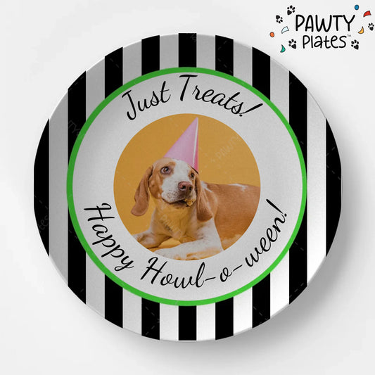Pawty Plate™ Halloween Photo - Pawty Plates